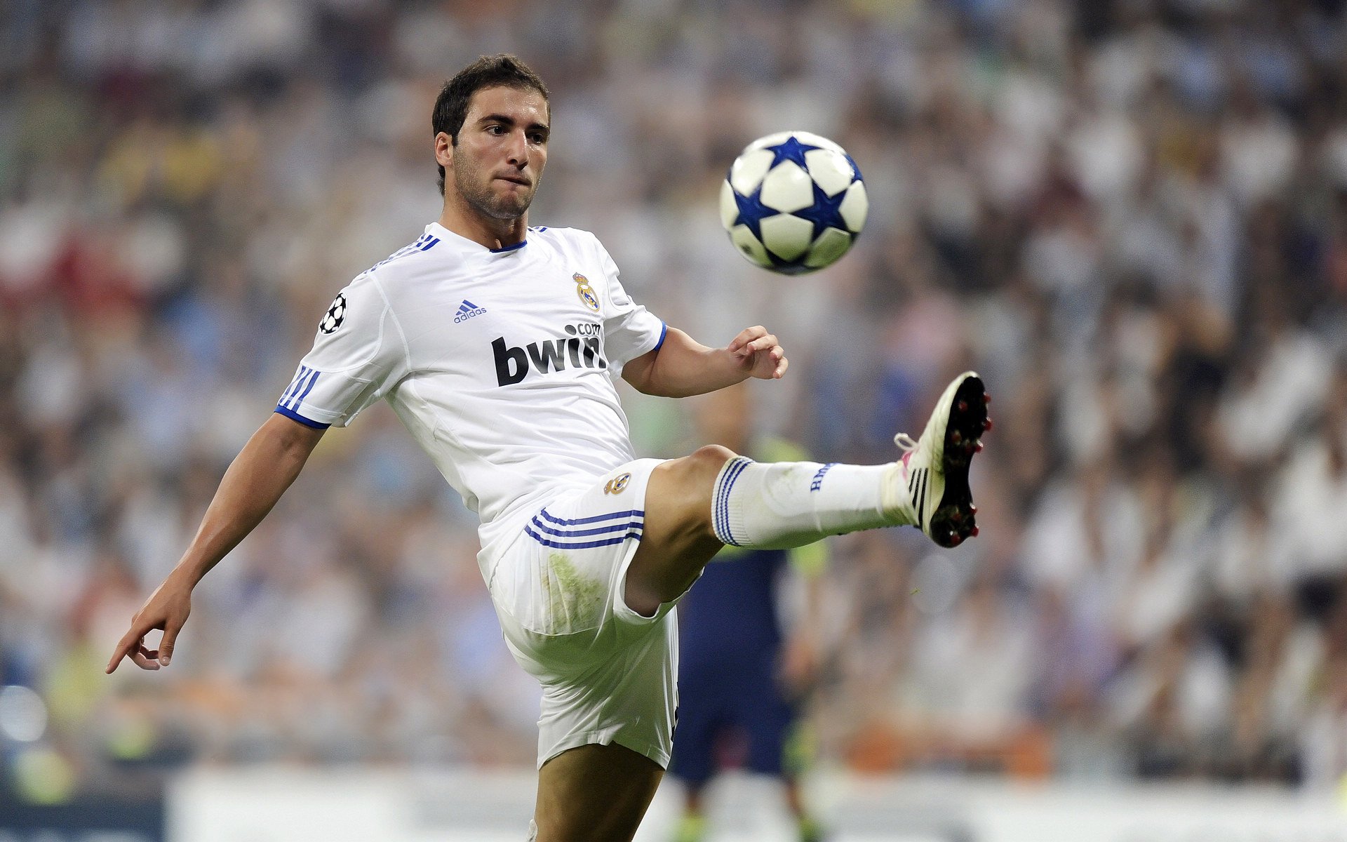 力争冠军！亚洲女足选手备战锦标赛，亚洲女足出线队