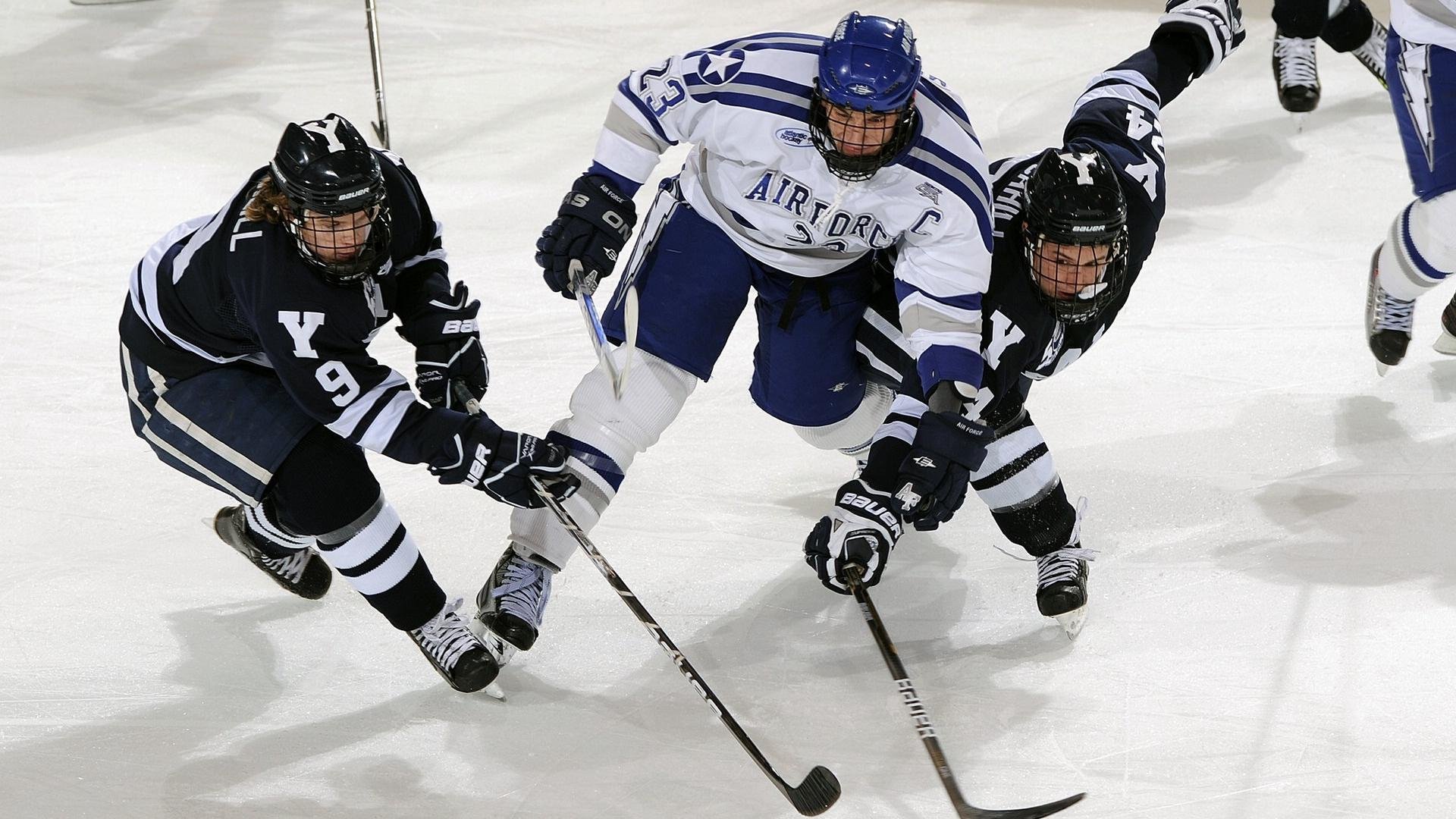 全国青少年“篮球+文化”融合创新展在上海盛大亮相，彰显青训新风尚